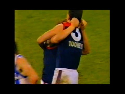 1994 - Melbourne v North Melbourne - Sports World - Round 22 - MCG - AFL
