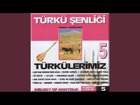 Cevizin Yaprağı Dal Arasında