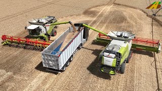 Getreideernte 2022 Mähdrescher 2 CLAAS Lexion 760 im Großeinsatz Traktor Fendt & HAWE Landwirtschaft