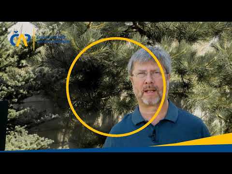 Medailonek Petr Odstrčil