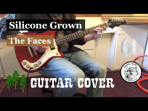 Silicone Grown - Faces - Guitar Cover