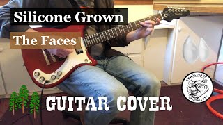 Silicone Grown - Faces - Guitar Cover