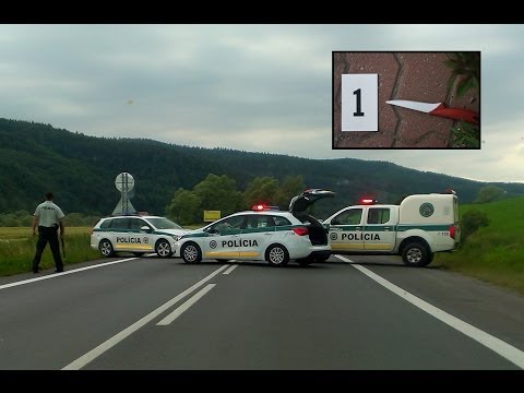 STARÁ ĽUBOVŇA: POLICAJTI STRIEĽALI NA TAXÍK