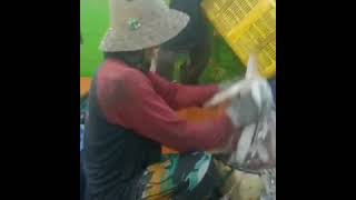 Download lagu ALHAMDULILLAH┃VIDEO PENDEK 30 DETIK mp3