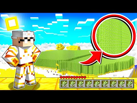 Die ERSTE AUTOMATISCHE Farm auf den Himmelsinseln Youtuber Insel Minecraft