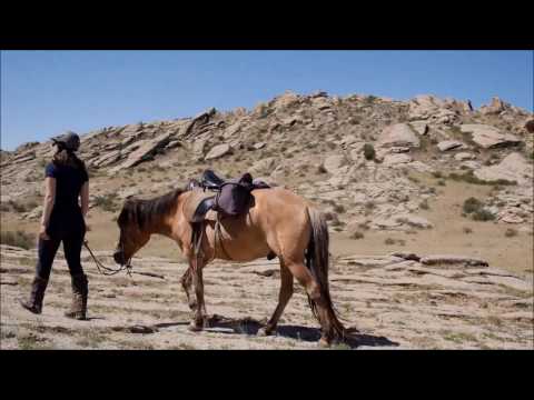 , title : 'Rid & Rejs - Mongolske Heste Ekspeditioner, Mongoliet'
