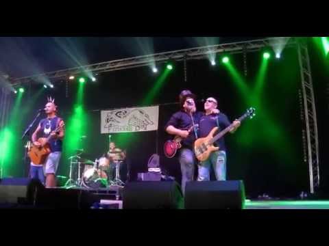 Paddy on the railway  -  Ferocious Dog - Beautiful Days Festival 2014