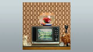 Matt Maltese - Like A Fish