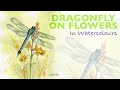 How To Paint A Dragonfly On Flowers In Watercolour