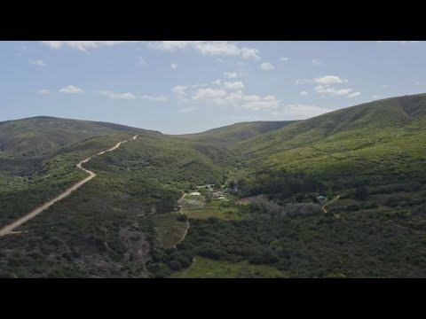 Restore Forest Ecosystems In Sub-Saharan Africa