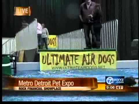 Pet lovers gather in Novi for Metro Detroit Pet Expo