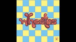 Fair Weather Friend ~ Wheatus