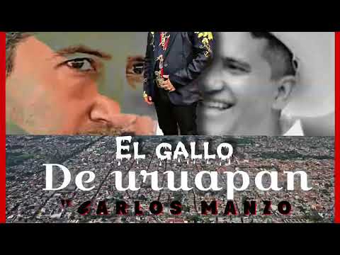 EL GALLO DE URUAPAN (CARLOS MANZO) El Gallo Del Sur (pedro chalino ) video oficial 
