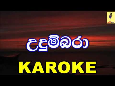 Udumbara Hinahenawa - T.M Jayarathne Karoke Without Voice