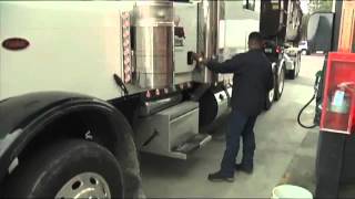 Southeast Texas drivers deal with not-so-lovely love bugs