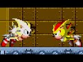 Super Sonic VS Super Shadow