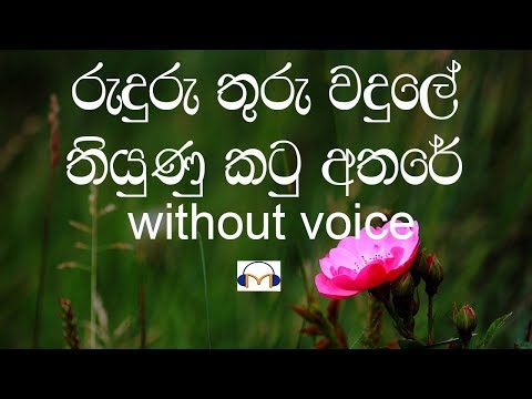 Ruduru Thuru Wadule Karaoke (without voice) රුදුරු තුරු වදුලේ