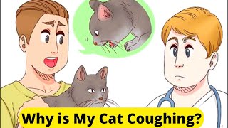 Why is your cat coughing? Top 6 possible reasons