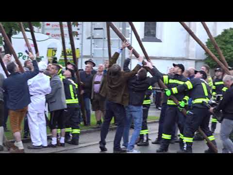 50 Jahre Perg - Jubiläums-MaiBaum wird gesetzt