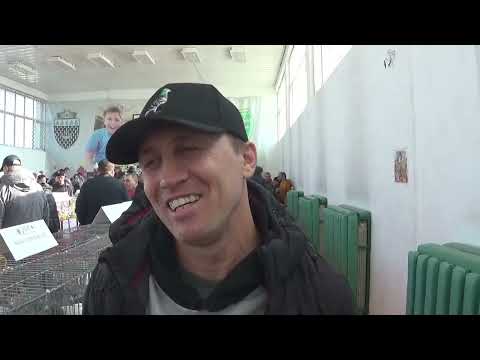 Interviu columbofil dl Zibilianu Catalin Ploiesti Prahova Romania 17 ianuarie 2026