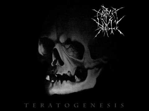 Perfect Beauty - Dead (Electronica / Dark Ambient / Experimental)