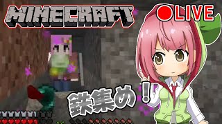 【フスクラ】フスカがひたすら鉄集めする配信！#29【Minecraft】