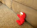 Elmo Toy Vs Pet Cat Shadow Not A Laughing Matter