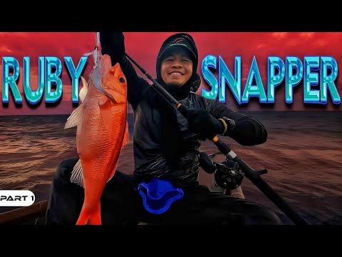 P1-RUBY SNAPPER - EP1113