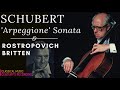 Schubert - Arpeggione Sonata D 821 / Presentation + New Mastering (Ct. rec.: Rostropovich / Britten)