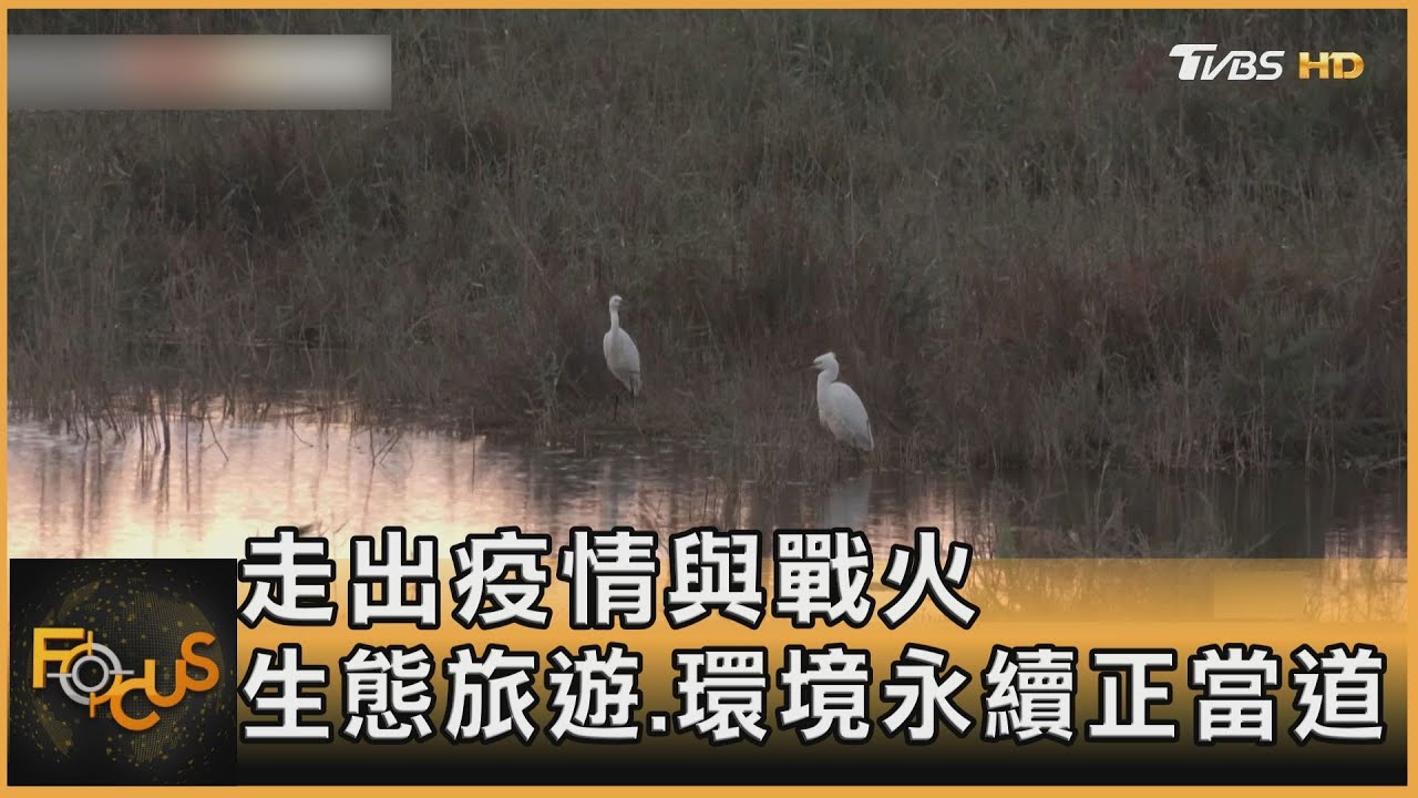 走出疫情與戰火　生態旅遊.環境永續正當道