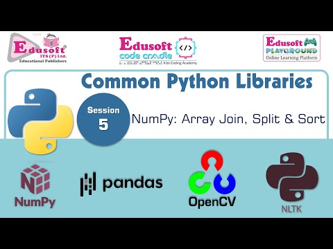 Common Python Libraries Numpy Arrays Join Split Sort