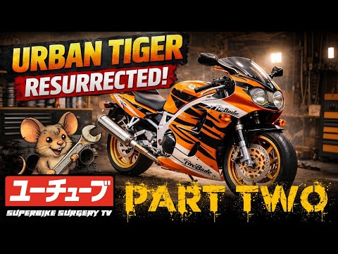 Forgotten Honda CBR900RR Urban Tiger Fireblade — Fully Resurrected