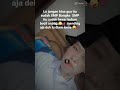 SMP Itu Sudah Besar Bukan Bocil Anjing