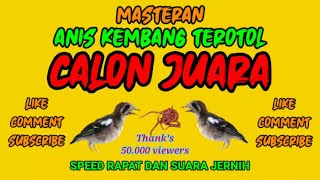 Download lagu masteran terotol anis kembang _ punglor kepala merah suara jernih speed rapat pasti juara mp3