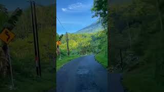 Download lagu PERJALANAN MENUJU ATAS GUNUNG NAIK MOTOR | HALU STORY #shorts  #storyhalu #storyig #storywa mp3