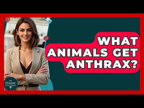 What Animals Get Anthrax? - The Disease Encyclopedia