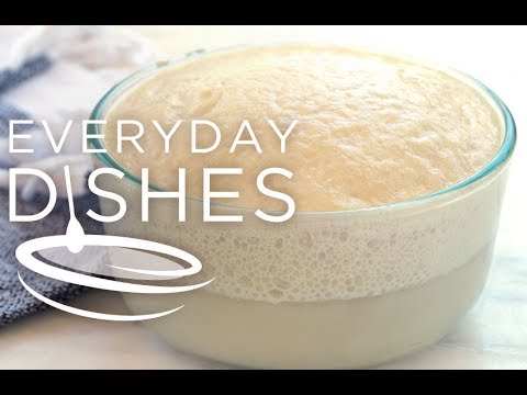 download lagu mp3 mp4 Yeast And Water, download lagu Yeast And Water gratis, unduh video klip Yeast And Water