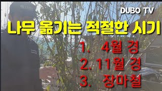 나무 옮기는 적절한 시기는 언제인가?When is the right time to move trees?