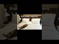 The Creature Trending Funny