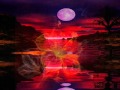 Gary Wright DREAMWEAVER Extended