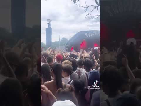 Our Cock o' Van at Wireless Festival