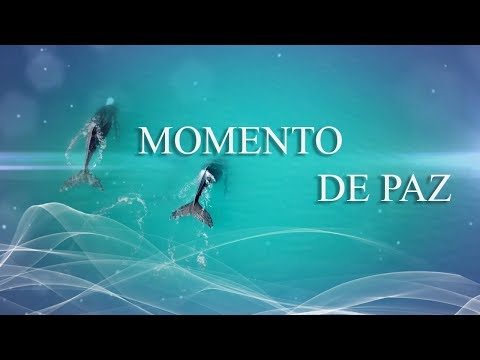 Momento De Paz video