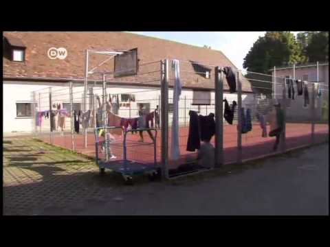 Zuwanderung kein Problem für Deutschland | Journal