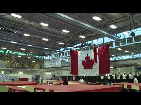 Trampoline Mens Junior Finals   Martin Andrew