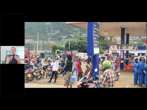 Gorillas im Nebel und wie man am besten durch Ruanda reist!