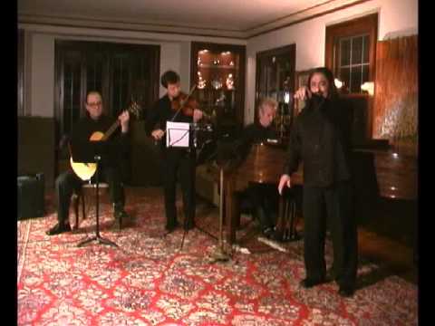 завлекла divx