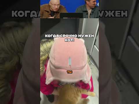 Все в дом - все в семью!