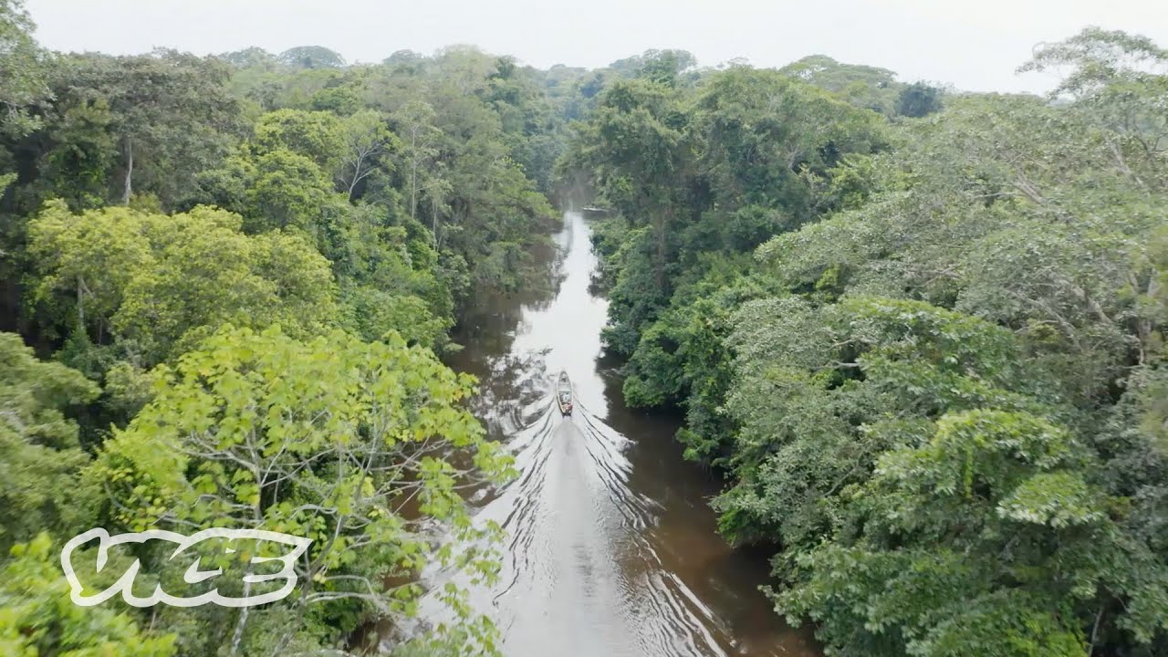 Unknown Amazon (Trailer)