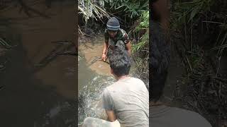 Download lagu banyak ikan terjebak dianak sungai musim kemarau panjang saat nya berburuh ikan mp3