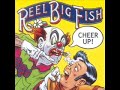 Everything is Cool - REEL BIG FISH